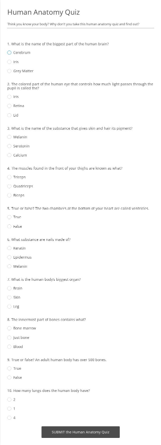 Free Forms 247FormsBuilder